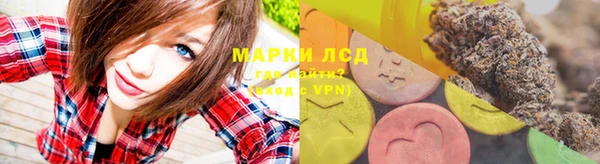 дживик Горняк