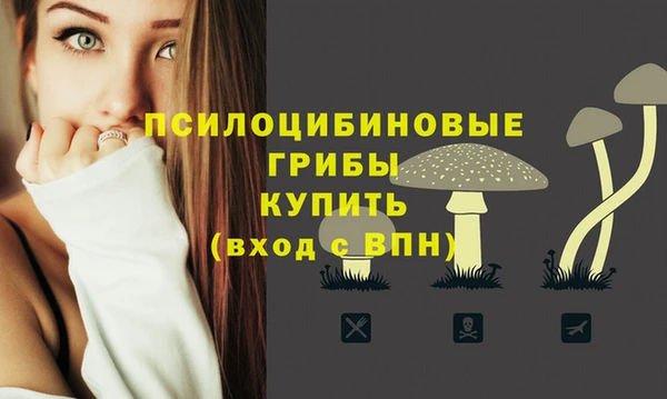 дурь Горнозаводск
