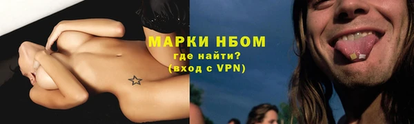 дживик Горняк