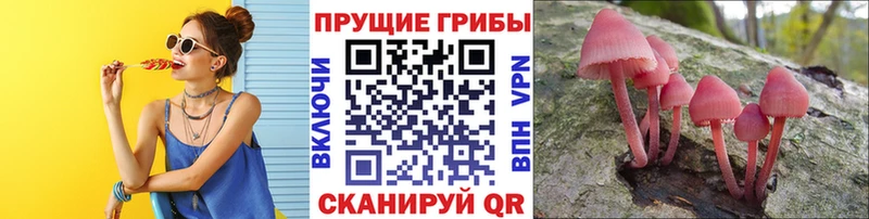 Псилоцибиновые грибы прущие грибы  Ивдель 
