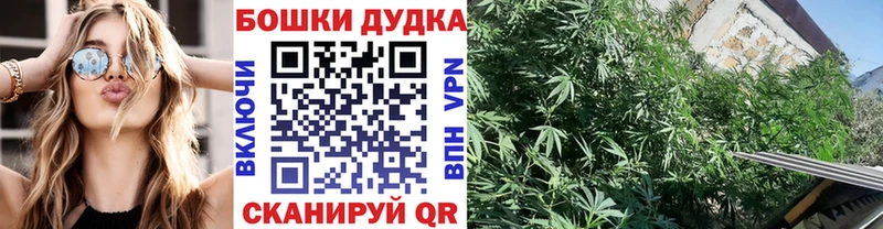 Конопля конопля Ивдель